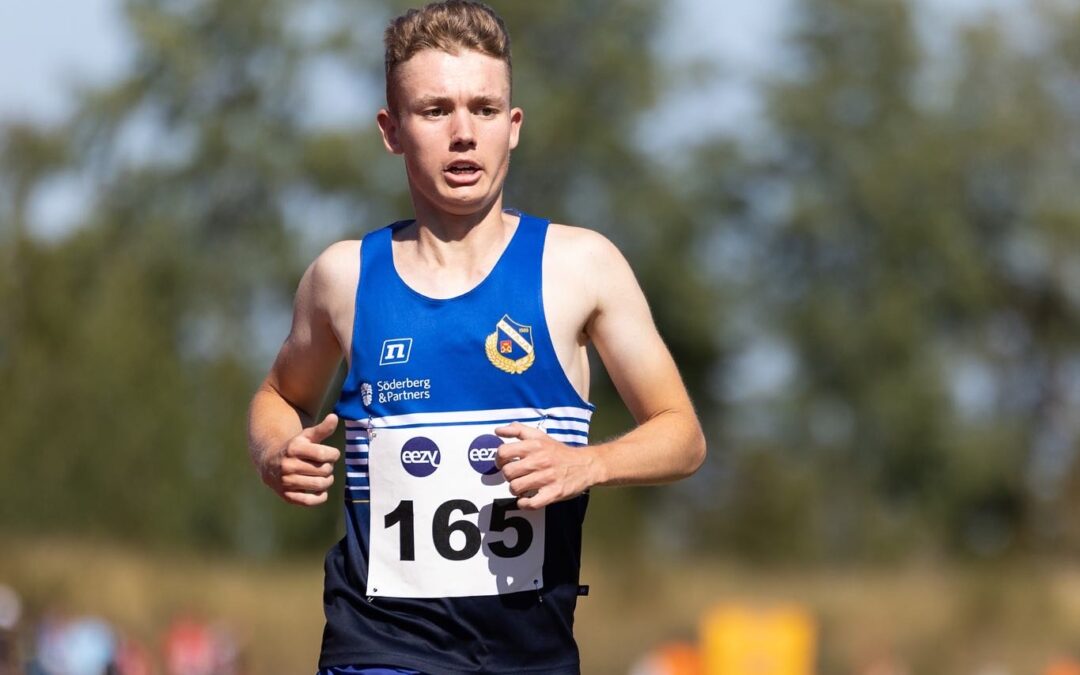 Viikkotiedote 32 (5.-12.8.2024)