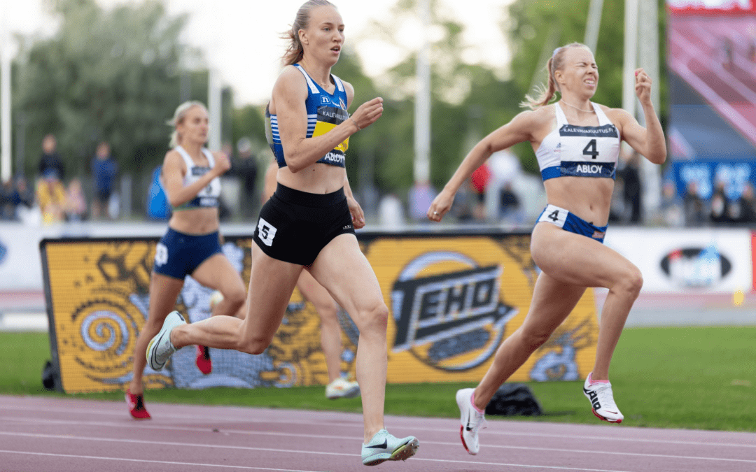 Viikkotiedote 36 (5.-12.9.2022)