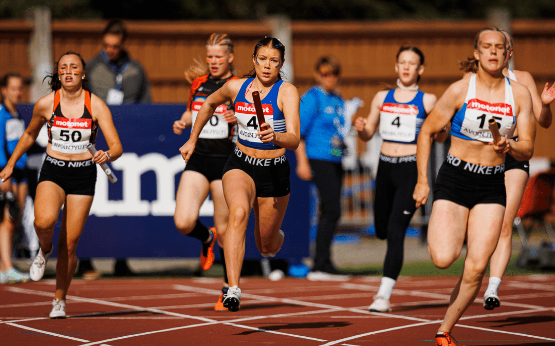 Viikkotiedote 41 (10.-17.10.2022)