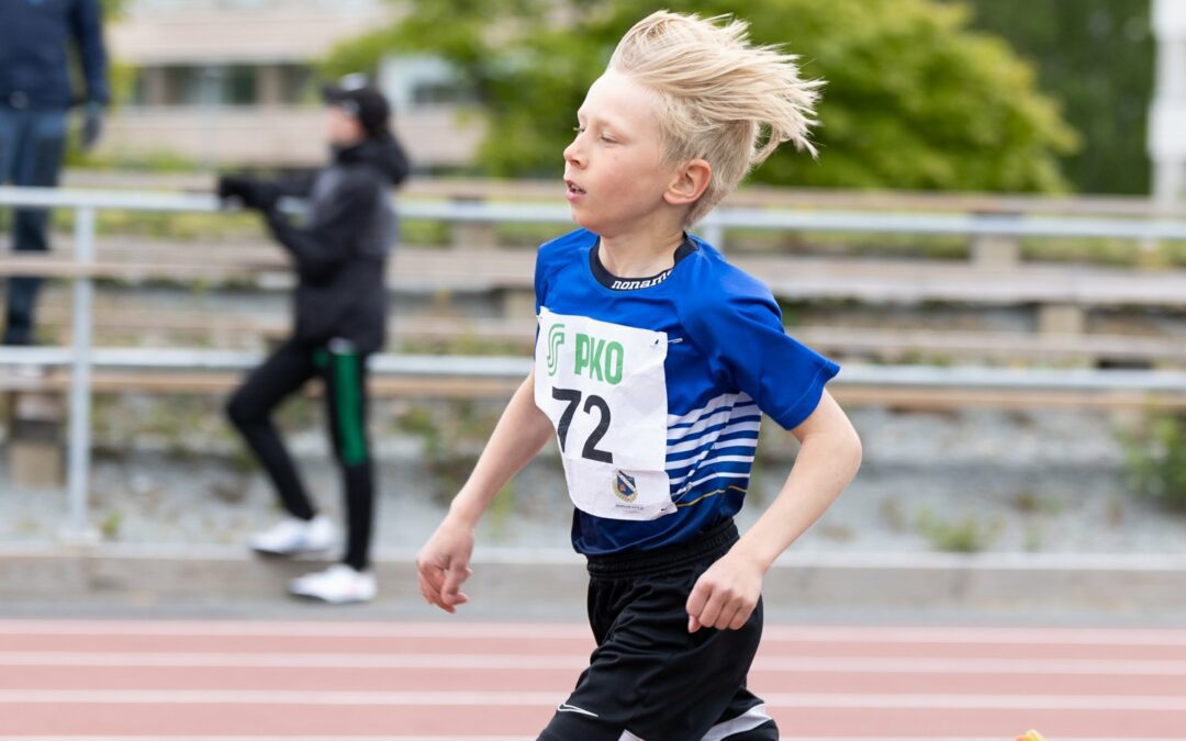 Viikkotiedote 23 (5.-12.6.2023)