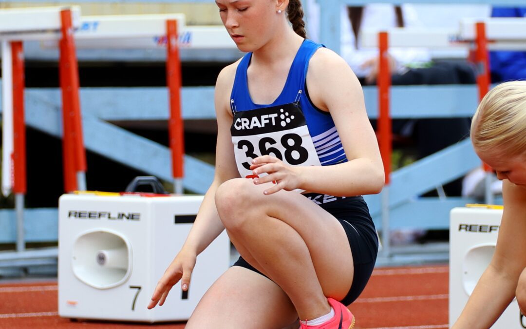 Viikkotiedote 34 (21.-28.8.2023)