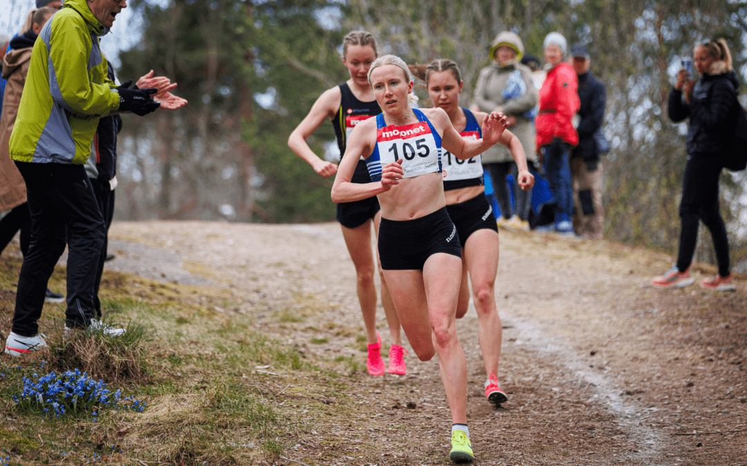 Viikkotiedote 20 (13.-20.5.2024)