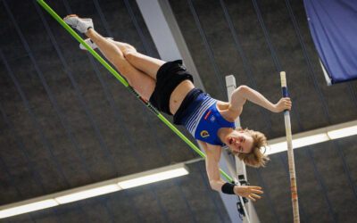 Viikkotiedote 24 (9.-16.6.2025)