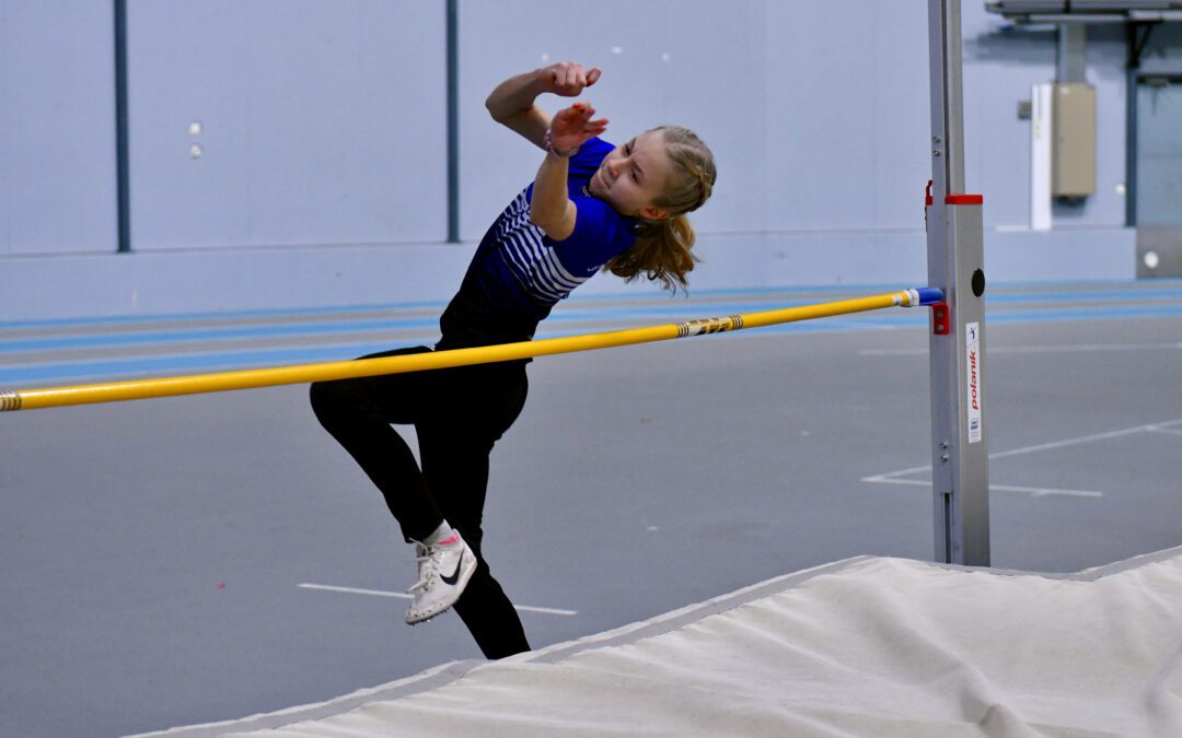 Viikkotiedote 51 (16.-21.12.2025)